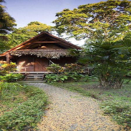 Azania Bungalows Puerto Viejo de Talamanca Kültér fotó