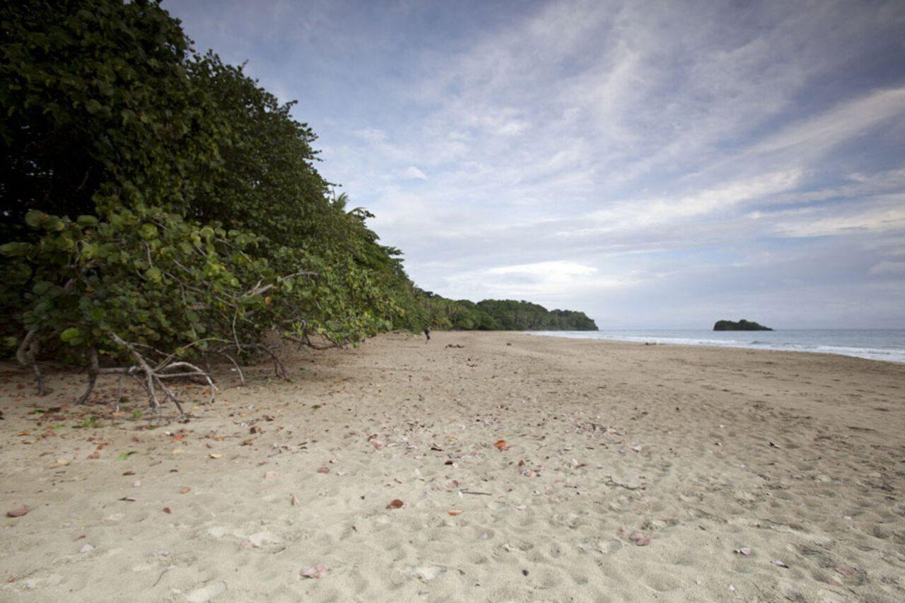Azania Bungalows Puerto Viejo de Talamanca Kültér fotó