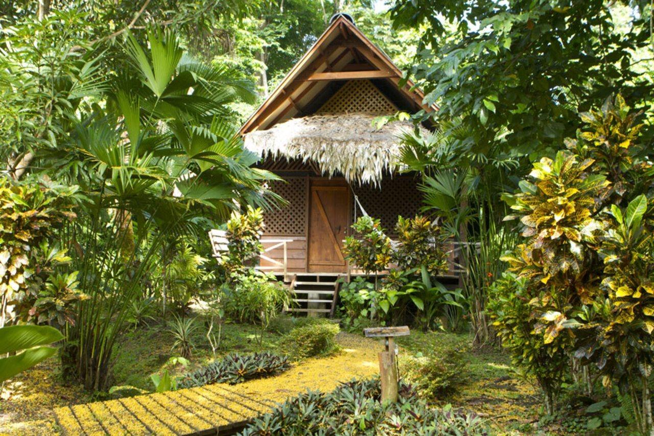 Azania Bungalows Puerto Viejo de Talamanca Kültér fotó