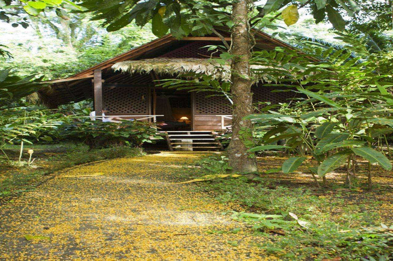 Azania Bungalows Puerto Viejo de Talamanca Kültér fotó