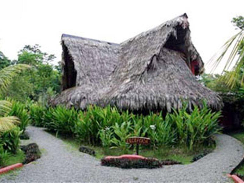 Azania Bungalows Puerto Viejo de Talamanca Kültér fotó