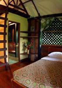 Azania Bungalows Puerto Viejo de Talamanca Kültér fotó